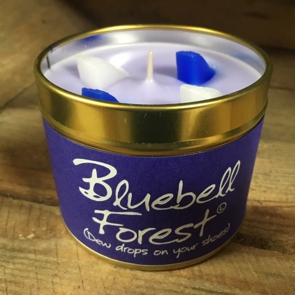 Bluebell Forest - Lily Flame