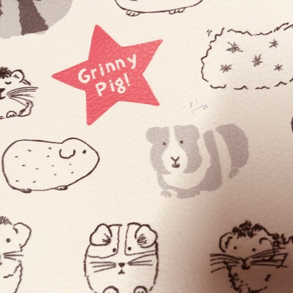 Grinny Pig Little Purse